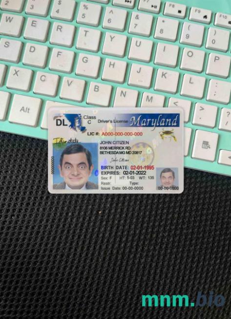 USA Maryland prawo jazdy 2003-2016 photolook